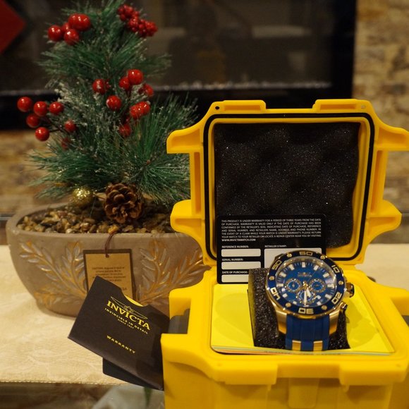 50 mm Blue Invicta Mens Pro Diver Chrono 100m